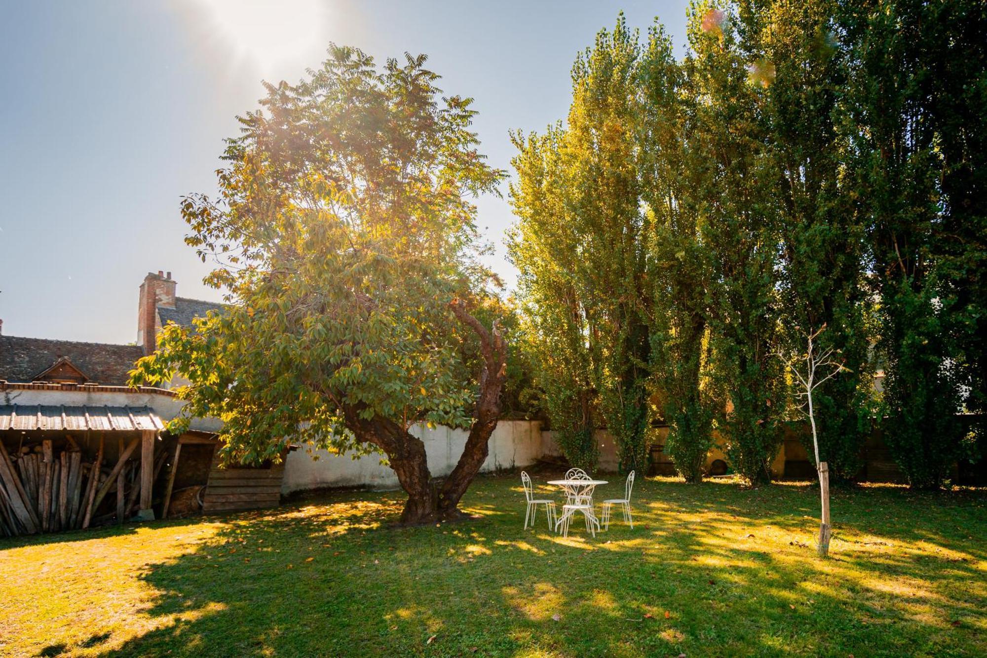 Отель Relais Saint Jacques Амбуаз Экстерьер фото